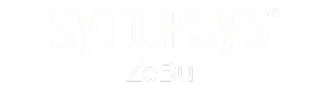 Synopsys Zebu